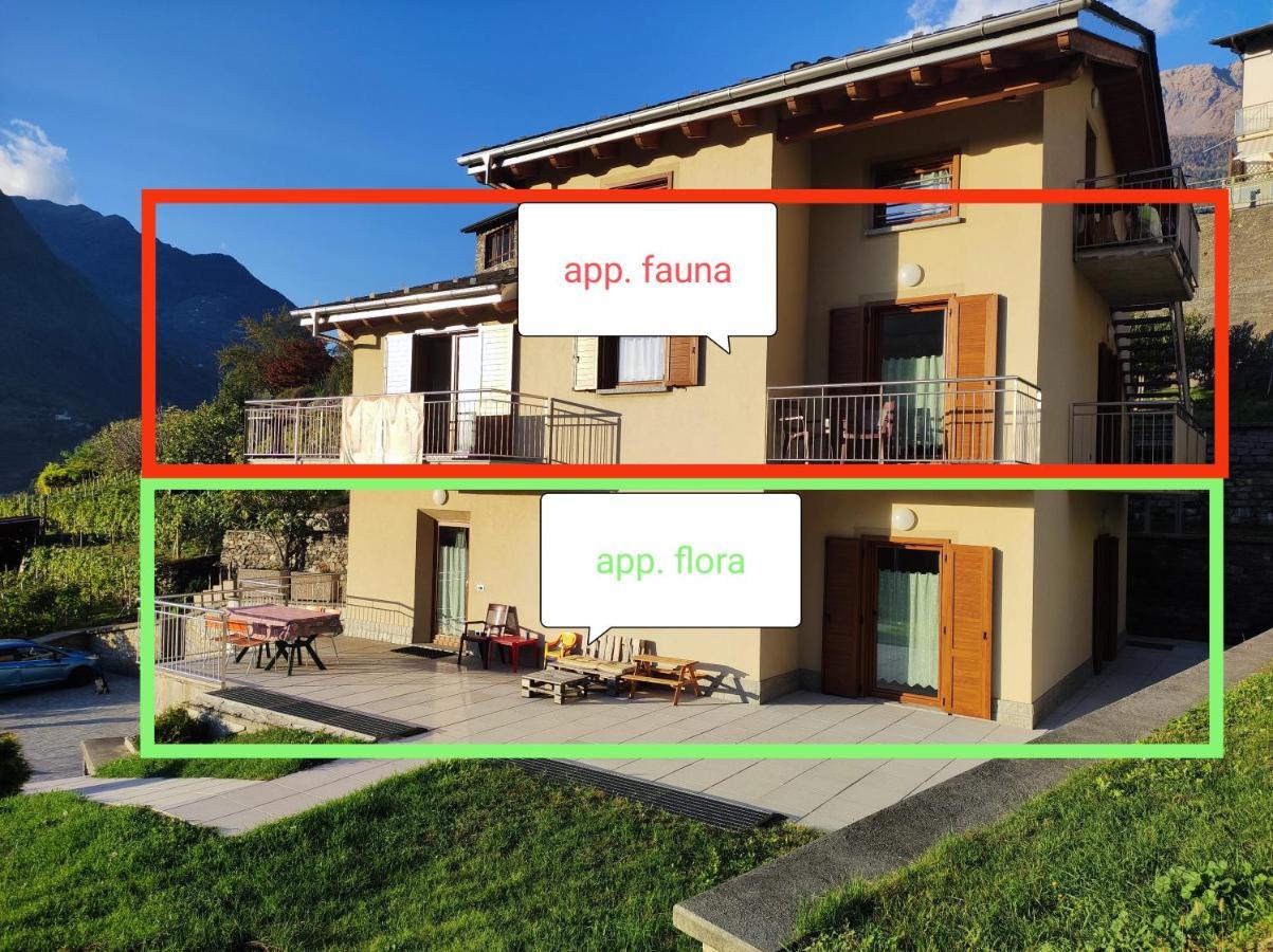 Ferienwohnung Pisolo Selvaggio Tirano Exterior foto