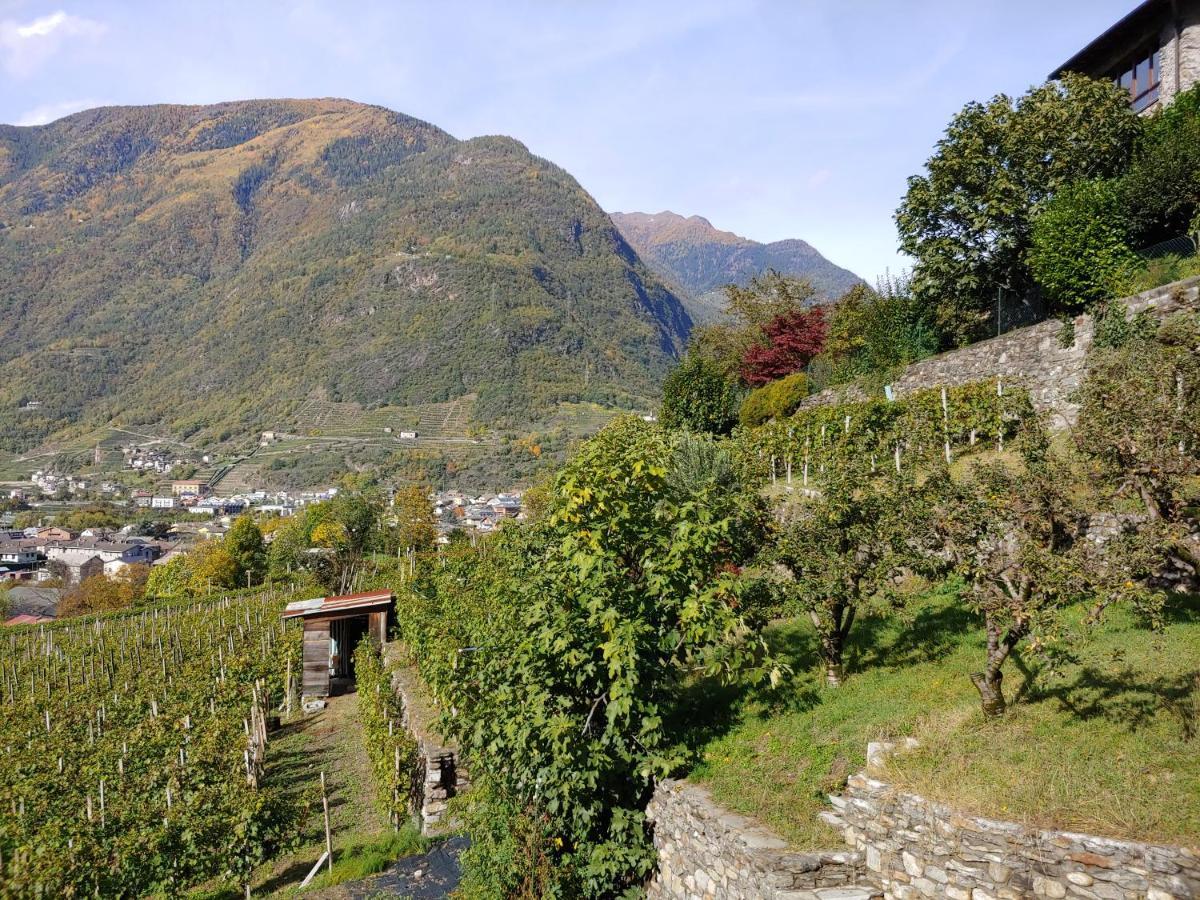 Ferienwohnung Pisolo Selvaggio Tirano Exterior foto